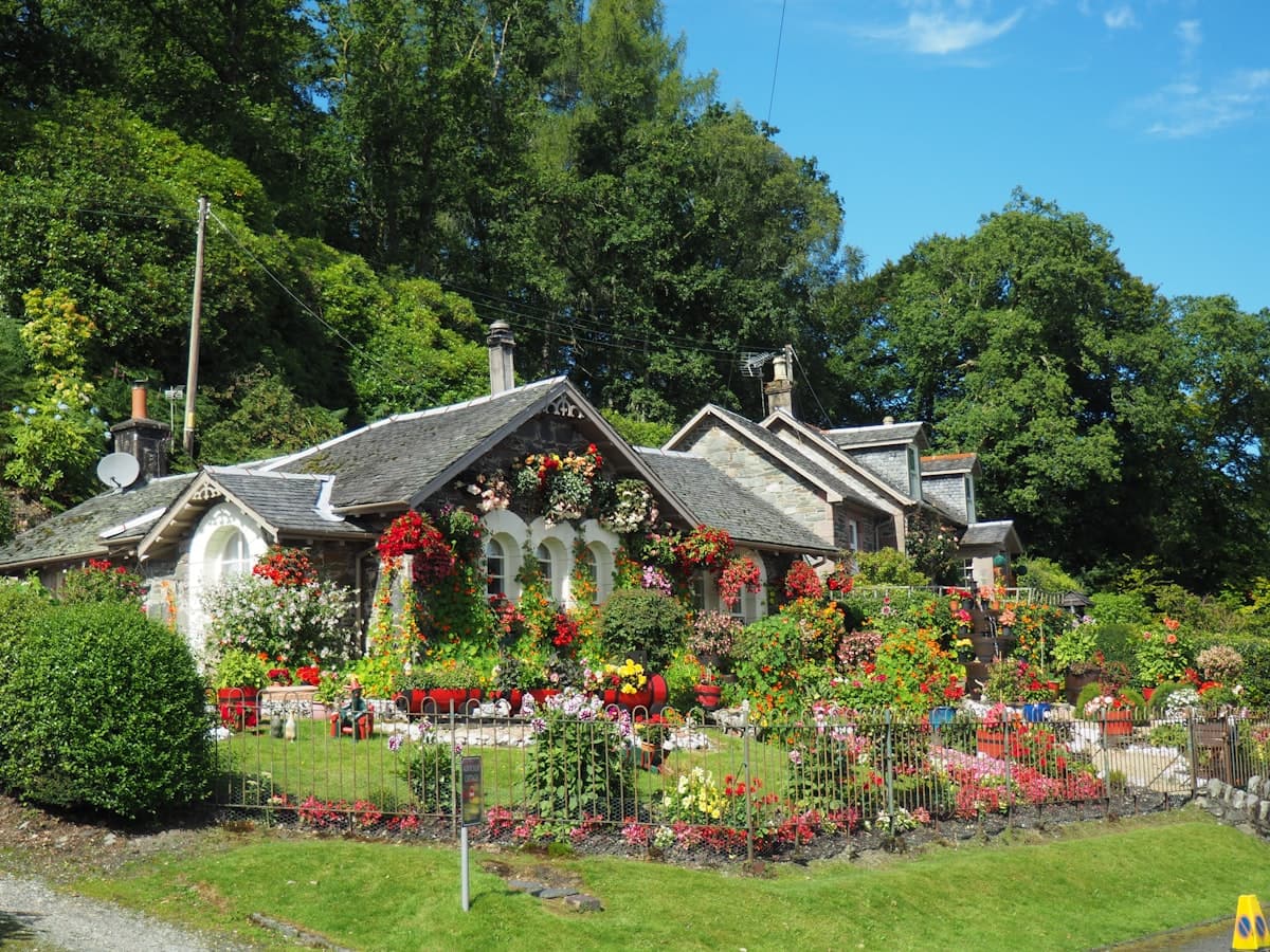 Lawn Care Service